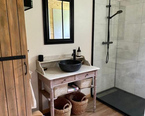 une salle de bain avec un lavabo et une douche dans l'établissement Gîte Le chant du grillon, à Saint-Étienne-de-Lugdarès
