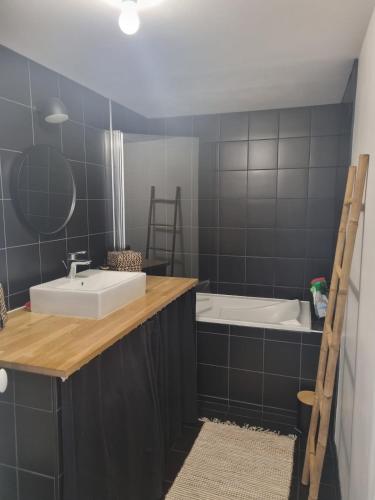 une salle de bain avec un lavabo et une baignoire dans l'établissement Cozy apartment, à LʼIsle-sur-la-Sorgue