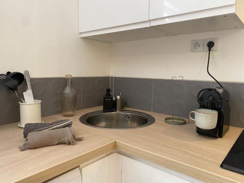 een keuken met een spoelbak en een aanrechtblad bij Le Suchet in Lyon