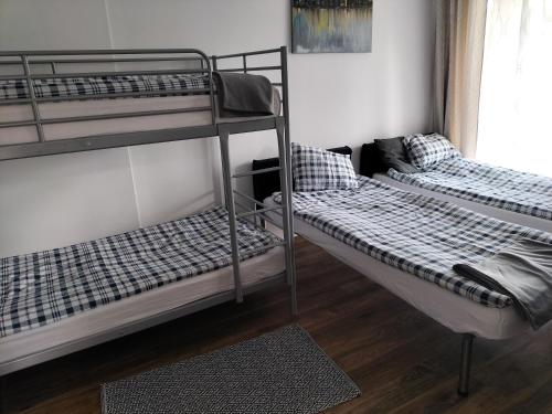 two bunk beds in a room with a window at Max in Żukowo