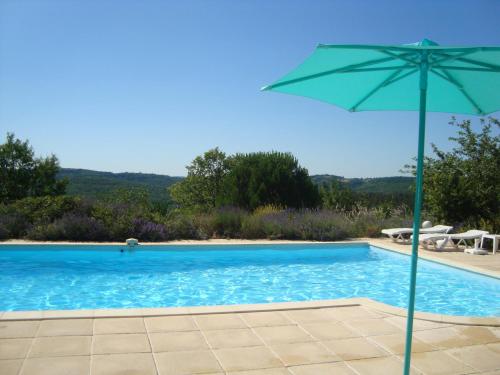 une piscine bleue avec un parasol vert dans l'établissement Le Mas des Cyprès, à Constans