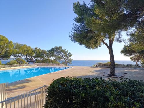 - une piscine avec un arbre à côté de l'océan dans l'établissement Appartement 6 pers - Port privée - Plage privée - Piscines - Tennis, à Bandol