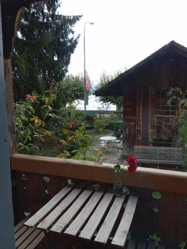 a wooden bench with a flower in a vase on a porch at Studio Le rêve de Rive in Nyon