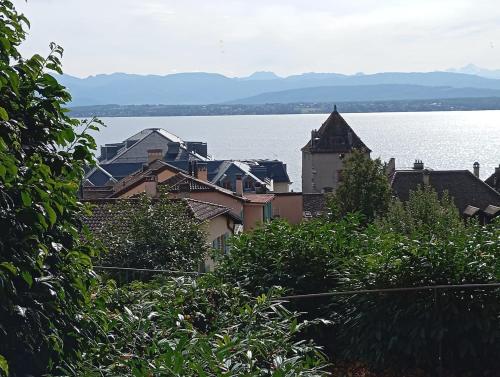 a group of buildings and a large body of water at Studio Le rêve de Rive in Nyon