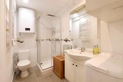 La salle de bains est pourvue d'un lavabo et d'une douche. dans l'établissement Appartement au coeur de Vendémian, à Vendémian