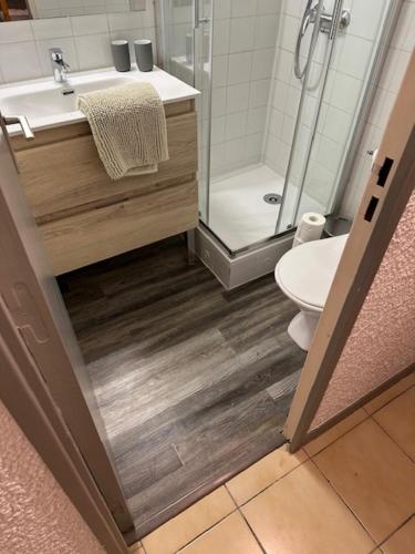 een badkamer met douche, wastafel en toilet bij VILLA DU PIN in Gruissan