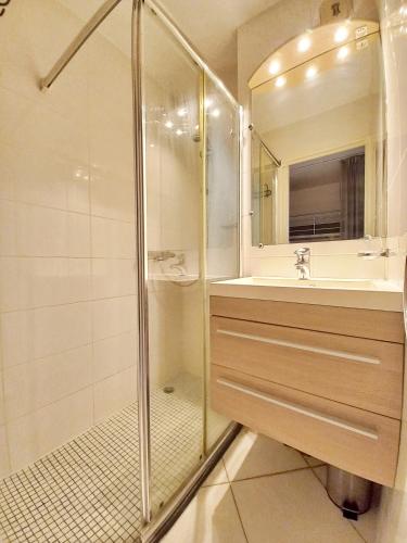 une salle de bain avec une douche, un lavabo et un miroir dans l'établissement Appartement panorama Boulouris, à Saint-Raphaël