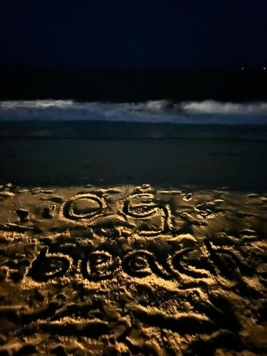 Fotografie z fotogalerie ubytování OG Beach Resort v destinaci Mararikulam