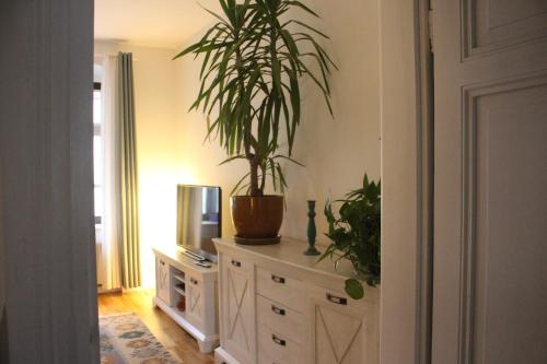 Kuchyň nebo kuchyňský kout v ubytování Gemütliche Ferienwohnung in Görlitz