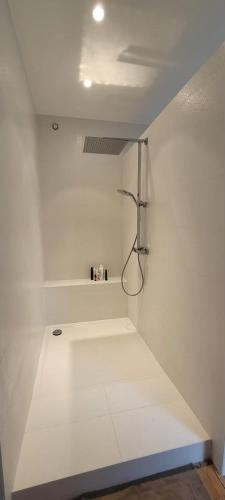 La salle de bains blanche est pourvue d'une douche. dans l'établissement Un petit paradis insoupsonné, à Vannes