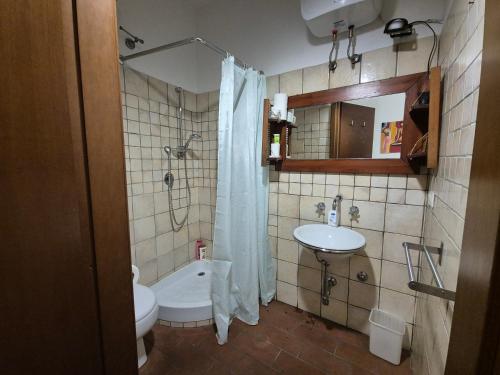 a bathroom with a toilet and a sink and a shower at Il Vico Letto in Civitella Del Lago