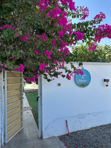 Fotografie z fotogalerie ubytování Tiny cosy home v destinaci Barka
