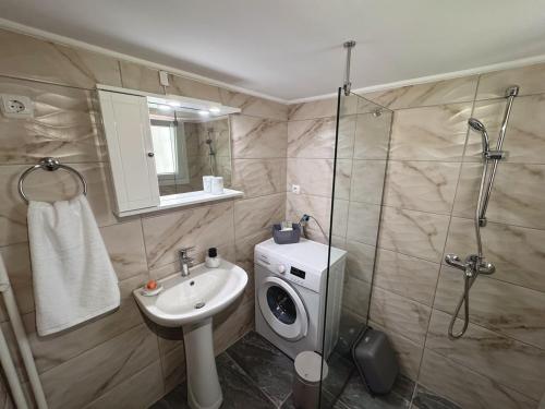 Spacious and Sunny 3BDR Apartment
