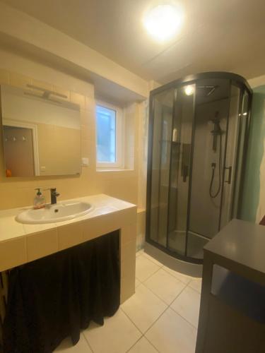 une salle de bain avec un lavabo et une douche dans l'établissement studio terrasse proche technopole et marine, à Brest