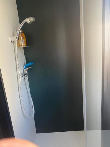 une douche avec pommeau de douche dans une salle de bain dans l'établissement Mobilhome 8 personnes cosy tout équipé avec vue sur bassin, cap ferret, à Lège-Cap-Ferret