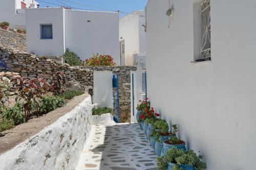 a narrow alley with potted plants on a white building at Politimis Studio N4 in Amorgos