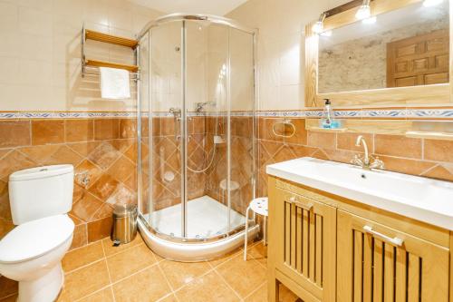 a bathroom with a shower and a toilet and a sink at El Pico in Canalejas de Peñafiel