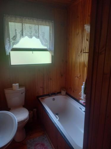 a bathroom with a tub and a toilet and a window at Emerald Hill Cabin in Mount Pleasant