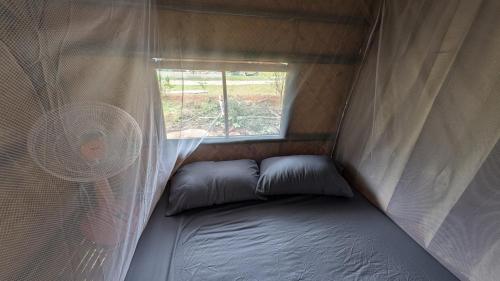 a small room with a window and a bed at Tarzan Bamboo hut in Khao Sok