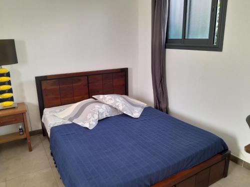 a bedroom with a bed with a blue comforter and a window at Loc' Avirons 10 bis in Les Avirons