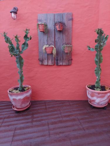 two plants in pots in front of a red wall at Alte Com Amor in Alte