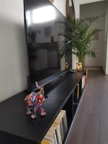 Un homme en araignée de jouet est assis sur un comptoir noir dans l'établissement Appartement Catalans, à Marseille