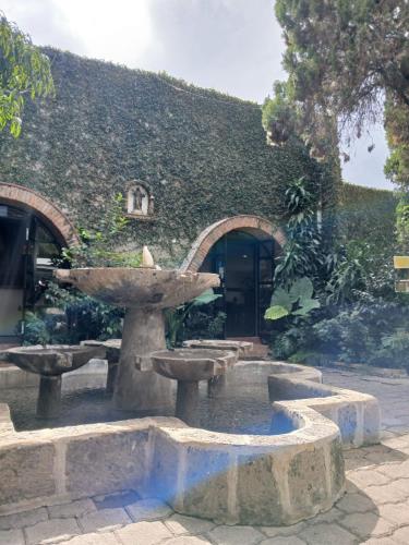 roca azul cabañas sa de cvにある庭
