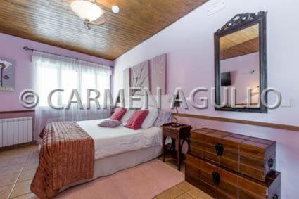 a bedroom with a bed with a mirror and a dresser at Posada el Campanario in Rascafría