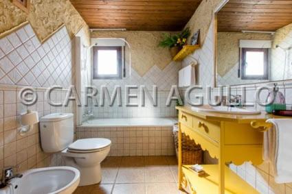 a bathroom with a toilet and a sink and a tub at Posada el Campanario in Rascafría