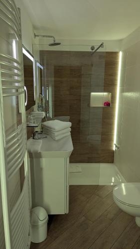 a bathroom with a shower and a sink and a toilet at Appartement am Teich in Großschönau