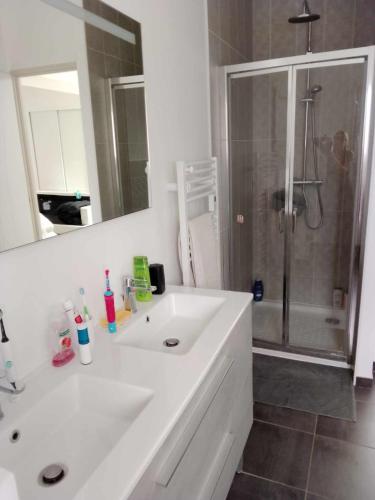 une salle de bain avec un lavabo blanc et une douche dans l'établissement Belle chambre lit King size, à Arès