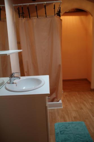 une salle de bain avec un lavabo et un rideau de douche dans l'établissement Gite Domaine De Laubal, à Gaillac
