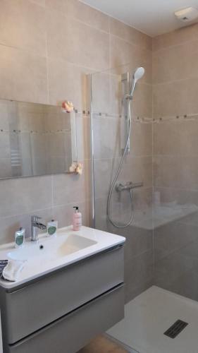 une salle de bain avec un lavabo et une douche dans l'établissement Chez Eugène et Valérie, à Saint-Cybardeaux