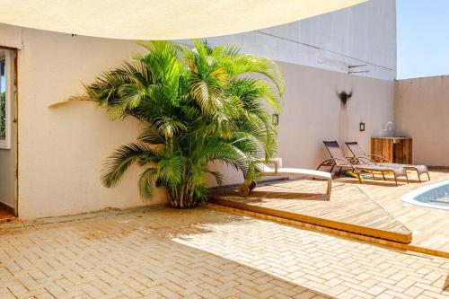 a palm tree in a room with a pool at Casa ENORME, segurança e conforto para sua família in Cascavel