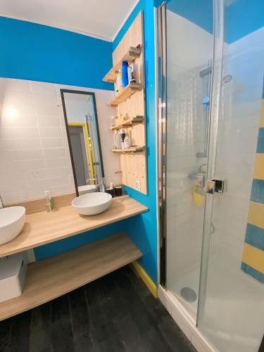 une salle de bain avec deux lavabos et une douche dans l'établissement Chambre PRIVÉE dans appartement PARTAGÉ - Le Voltaire - Talence - WIFI - REF F1, à Talence