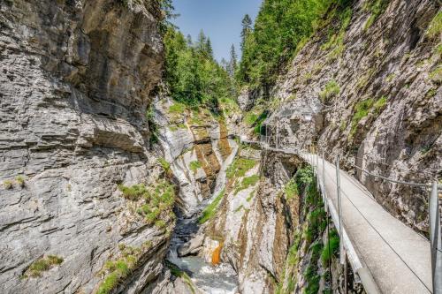Paesaggio naturale nelle vicinanze dello chalet