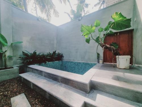 Taman di luar The Calm Villa