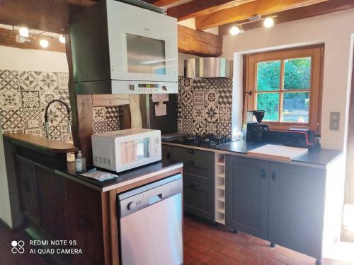 eine Küche mit Mikrowelle und Herd Oberer Backofen in der Unterkunft Ma jolie chaumière in Le Gros-Theil