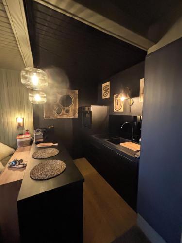 - une cuisine avec 2 comptoirs et un évier dans la chambre dans l'établissement Cocon d'Orcieres, à Forest des Baniols