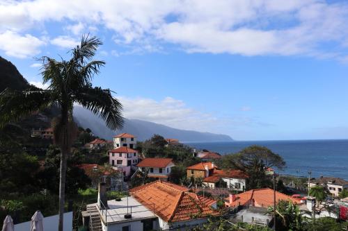 a town with a palm tree and the ocean at Casa do Tio Albino II, By OP in Ponta Delgada