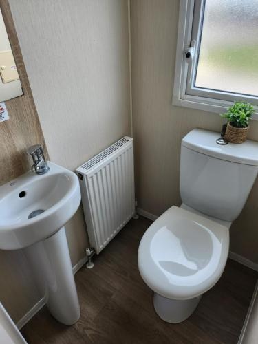 a bathroom with a toilet and a sink and a window at F86 Steeple Bay in Steeple