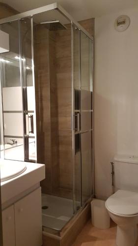 une salle de bain avec une douche avec des toilettes et un lavabo dans l'établissement La sérénité des aiguilles, à Albiez-Montrond