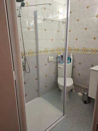 une salle de bain avec douche et toilettes dans l'établissement La chênaie, à Châtel-Guyon