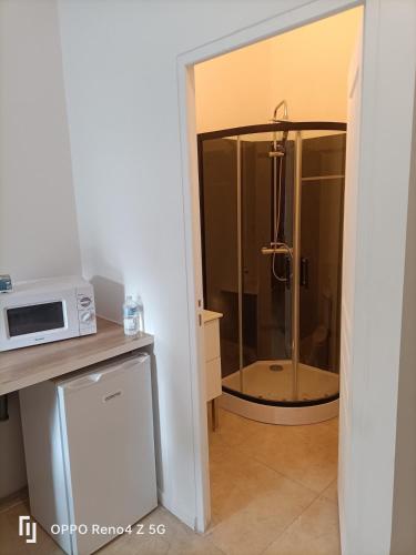 La salle de bains est pourvue d'une douche et d'un micro-ondes. dans l'établissement studio Bordeaux, proximité to tram A, à Mérignac