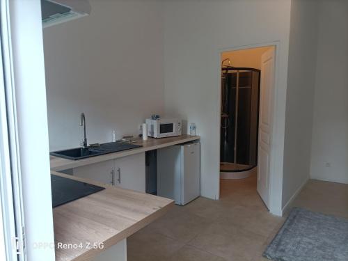 une cuisine avec un évier et un micro-ondes dans l'établissement studio Bordeaux, proximité to tram A, à Mérignac