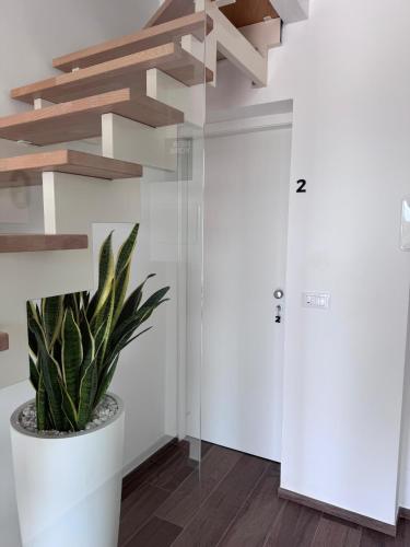 a staircase in a room with a potted plant at Gaeta Rooms in Lanciano