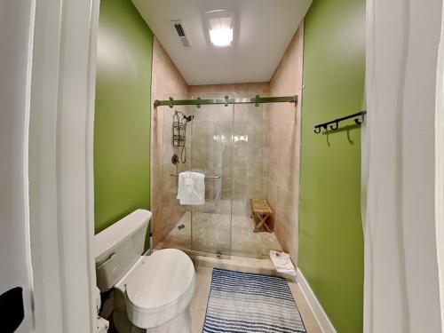 a green bathroom with a toilet and a shower at 5 Solas Lodge in Sevierville