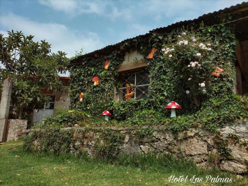 Gallery image of Hotel Las Palmas By GEstores in San Miguel Regla