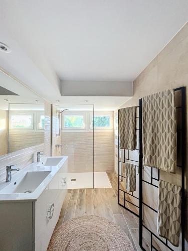 une salle de bain avec un lavabo et une douche dans l'établissement Demeures du Bord de Seine, à Samoreau