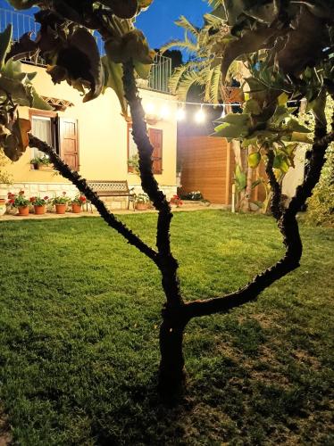 Taman di luar Il grifo